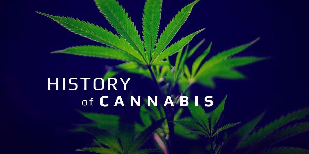 A Giant-Sized History Of Cannabis - Brian D. Colwell