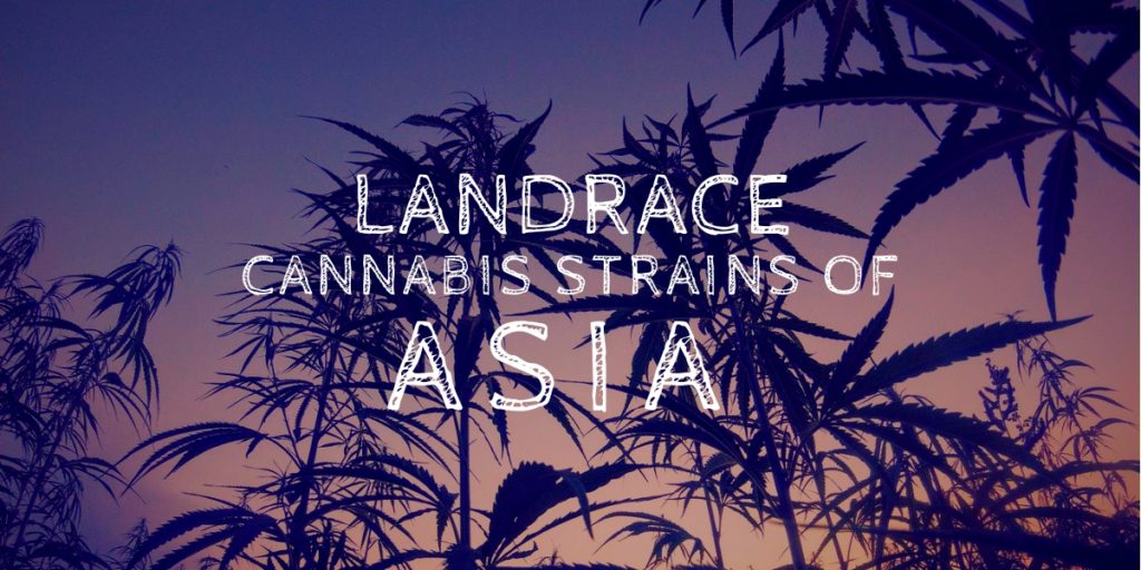 Landrace Cannabis Strains Of Asia - Brian D. Colwell