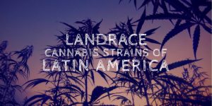 Landrace Cannabis Strains Of Latin America - Brian D. Colwell