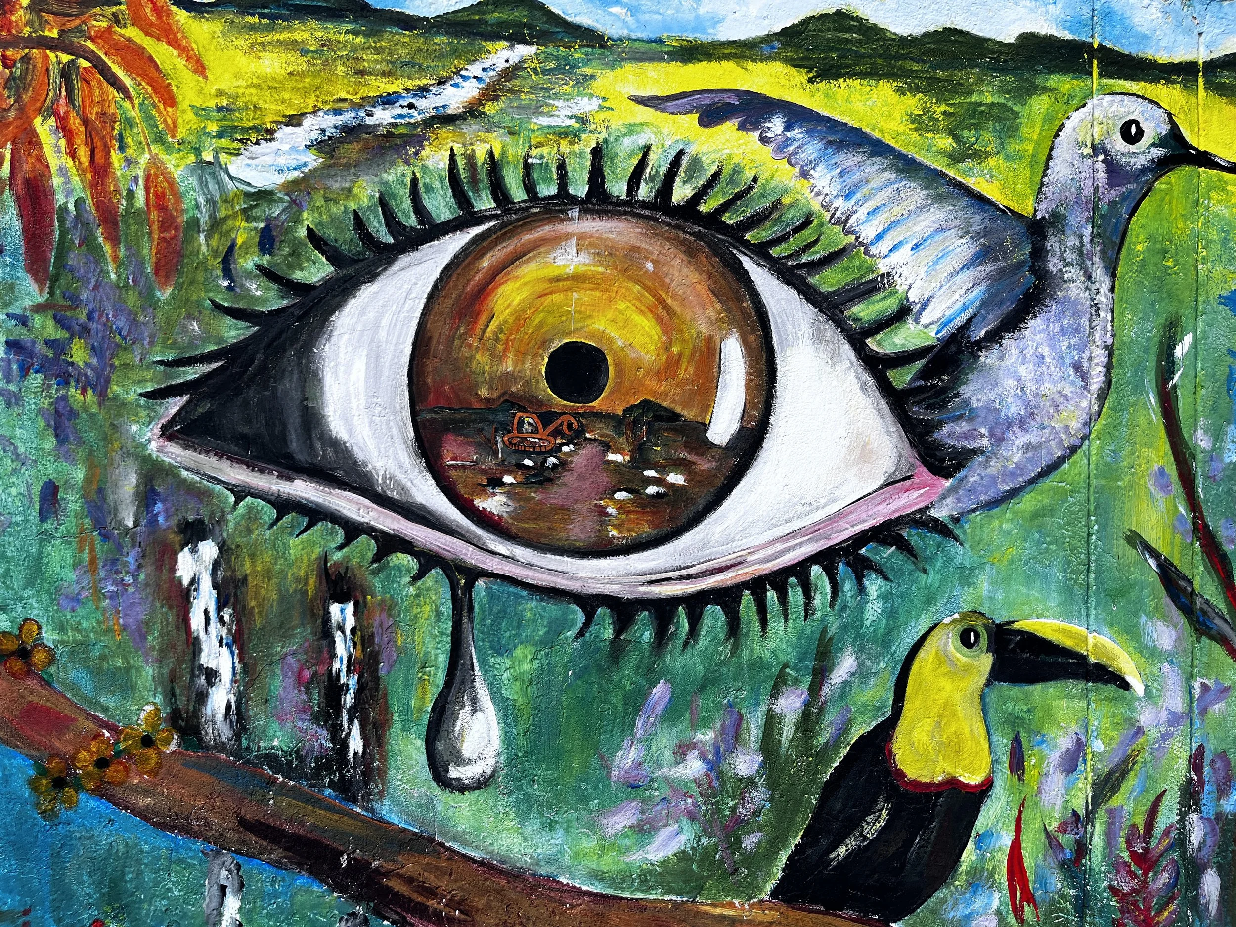 Surreal eye with birds and landscape painting.