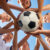 15 Great Resources For Your Team Role Group Dynamics DYOR